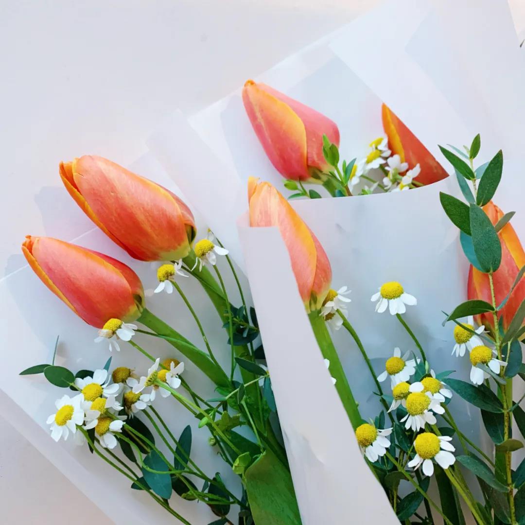 1615210017377721.jpg 微信圖片_20210308212435.jpg