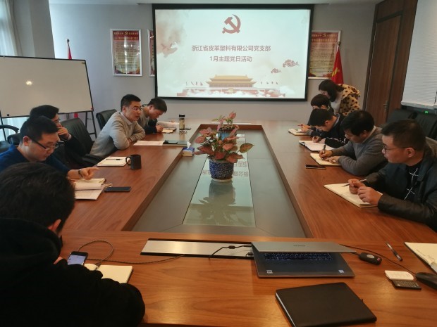 皮塑公司召開學(xué)習(xí)集團(tuán)黨代會精神主題黨日活動